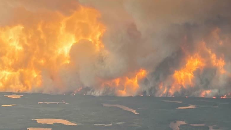 <strong>حرائق الغابات في أستراليا وكندا</strong>