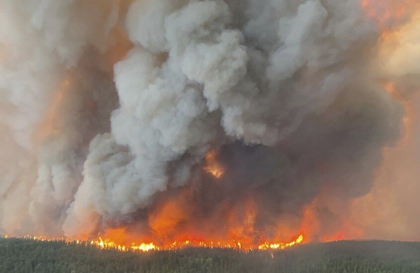 <strong>حرائق الغابات في أستراليا وكندا</strong>