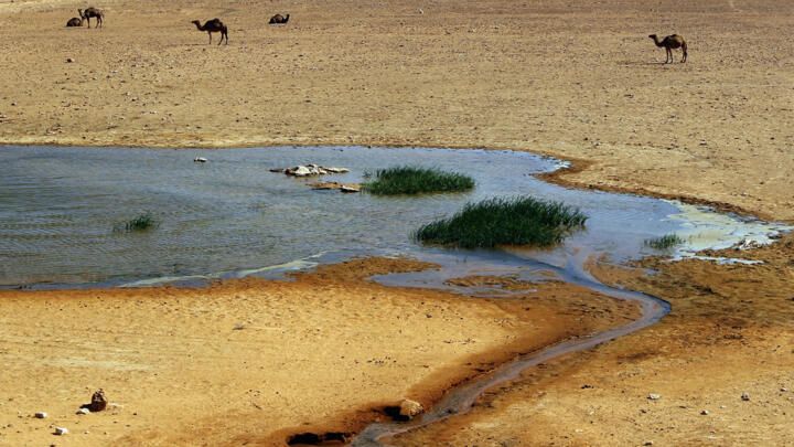 <strong>جفاف شرق أفريقيا</strong>