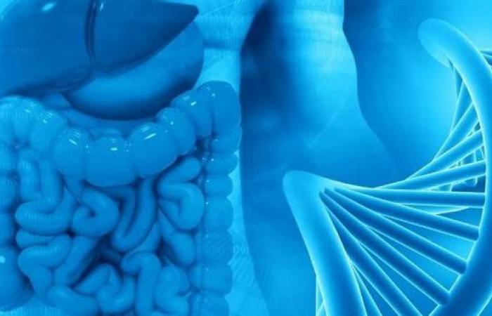 اكتشاف جينين يساهمان في كبح انتشار سرطان القولون والمستقيم