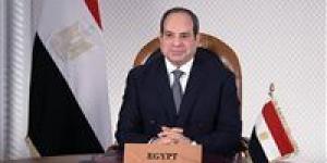 من الإنشات إلى البطولات.. قصة نجاح الرياضة المصرية في عهد الرئيس السيسي