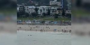 أستراليا.. إصابة 8 أشخاص إثر إطلاق نار على تجمع يهودي في سيدني