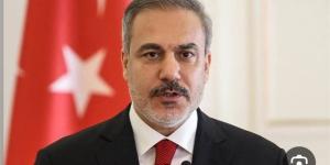 تركيا: تسوية الأزمة الأوكرانية كانت ولا تزال ضمن أولوياتنا