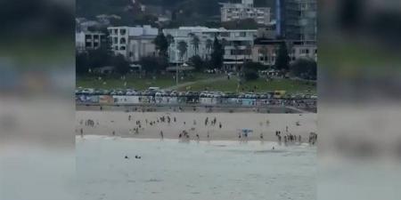 أستراليا.. إصابة 8 أشخاص إثر إطلاق نار على تجمع يهودي في سيدني