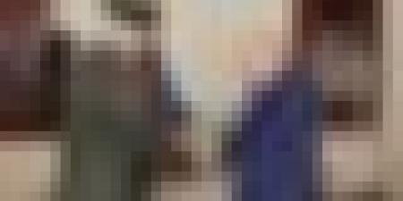 رئيس الجمهورية يستقبل رئيس هيئة الأركان المشتركة للقوات المسلحة الأردنية