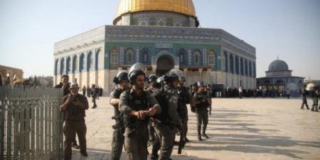 القدس: المخطط الاستيطاني على أراضي المطار يستهدف فصل المدينة عن محيطها