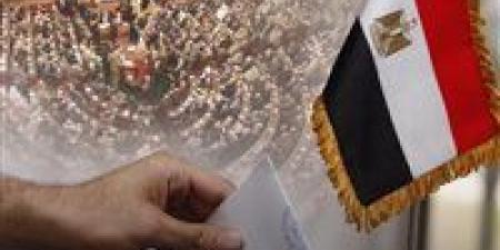 انتخابات مجلس النواب.. غلق باب تصويت المصريين فى نيوزيلندا وأستراليا وكوريا الجنوبية والشمالية واليابان