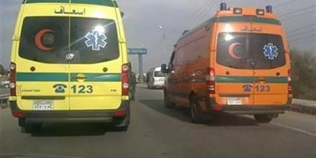 انهيار حائط فيلا بالتجمع السكني وإصابة شخص خطيرة