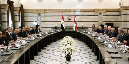 رئيسا
وزراء
مصر
ولبنان
يترأسان
جلسة
مباحثات
موسّعة
لتعزيز
التعاون