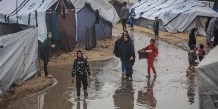 العفو
الدولية:
وفيات
الفيضانات
في
غزة
مأساة
كان
يمكن
تجنبها