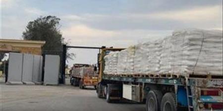 «تكية
أم
علي»
تجهز
مساعدات
تدفئة
عاجلة
لدعم
أهالي
غزة