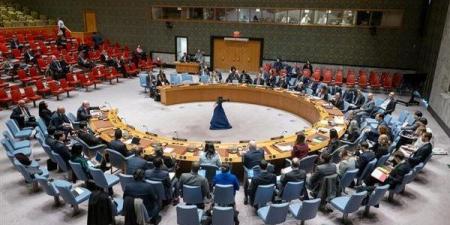 مجلس
      الأمن
      يمدد
      عمل
      بعثة
      حفظ
      السلام
      في
      الكونغو
      الديمقراطية
      لعام
      إضافي