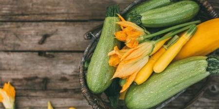 فوائد
      الكوسة
      في
      تقليل
      احتباس
      السوائل
      بالجسم