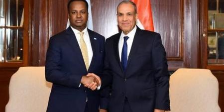 مباحثات
      مصرية-صومالية
      حول
      سبل
      تعزيز
      الشراكة
      ودعم
      الأمن
      والاستقرار