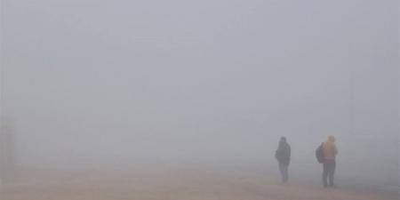 طقس
      الأربعاء..
      «لسعات
      الشتاء»
      تضرب
      بقوة
      وشبورة
      كثيفة
      تحذر
      السائقين
      فجرًا