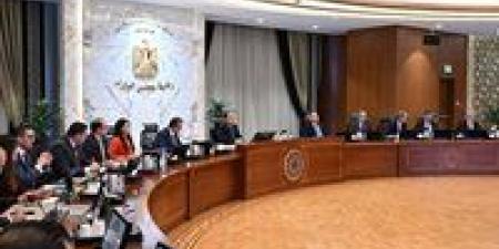 مجلس
الوزراء:
فى
2014
كنا
دولة
شبه
حطام
وحاليا
احنا
على
أرضية
ثابتة