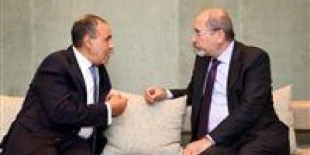 تفاصيل
توقيع
مصر
والأردن
محضرًا
مشتركًا
لتسهيل
حركة
الشاحنات
ودعم
التجارة
البينية