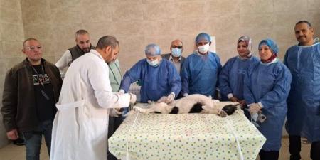 جامعة
      الإسكندرية
      تبدأ
      المرحلة
      الثانية
      من
      مبادرة
      «نحو
      بيئة
      آمنة»
      لتعزيز
      التوازن
      البيئي
      وحماية
      الإنسان