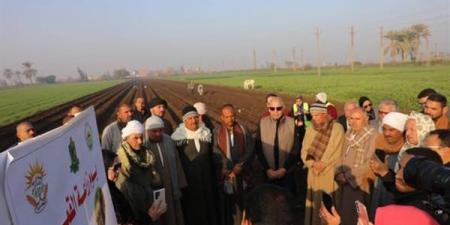 انطلاق
      زراعة
      محصول
      القمح
      بقرية
      بردنوها
      بمطاي