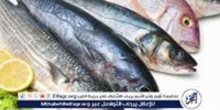 اسعار
      الاسمأك
      اليوم
      الخميس
      25ديسمبر
      2025
      فى
      المنيا