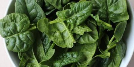 السبانخ..
      ورقة
      خضراء
      مليئة
      بالحديد
      ومضادات
      الأكسدة