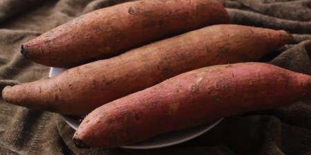 البطاطا
      الحلوة..
      كربوهيدرات
      صحية
      وطاقة
      دائمة