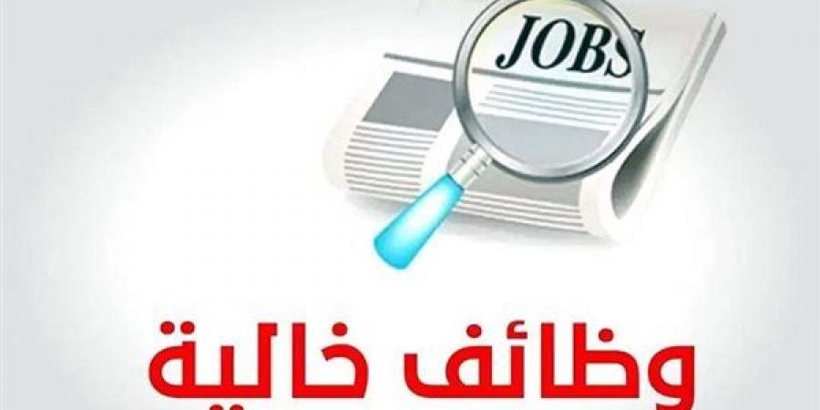 بشرى سارة للشباب.. وظائف جديدة برواتب مجزية في 10 محافظات (تفاصيل)