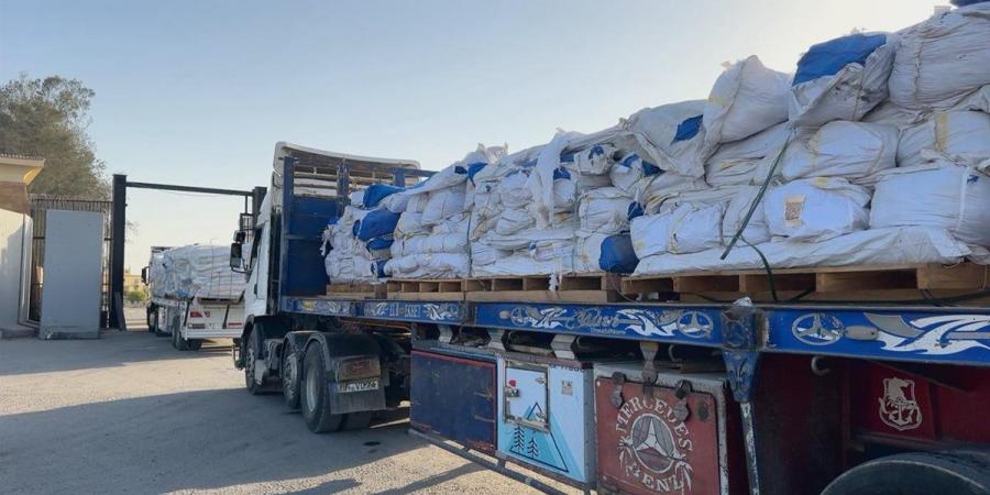 لسوء الأحوال الجوية.. الهلال الأحمر المصري يكثّف إمدادات الشتاء إلى غزة