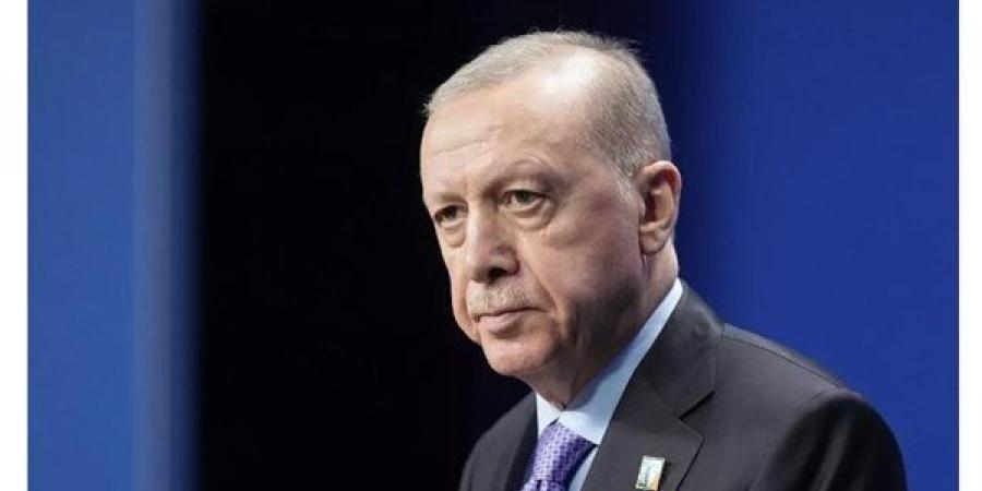 أردوغان: عودة السوريين لبلادهم تتحقق في هذه الحالة