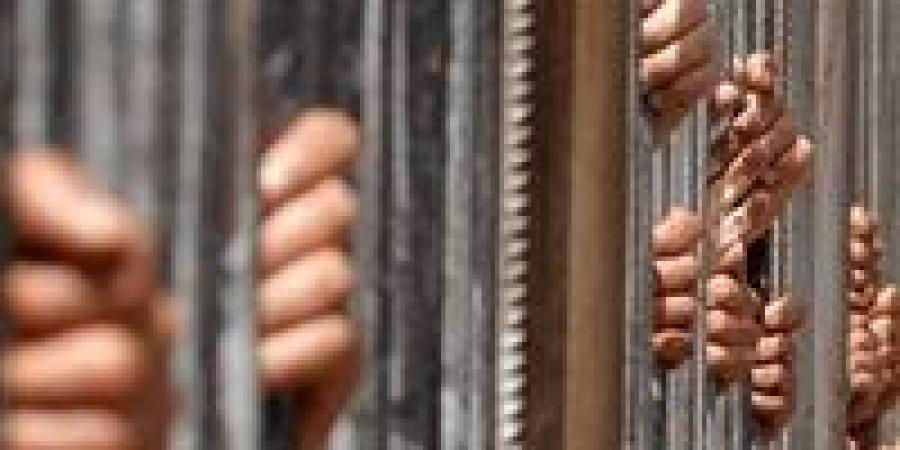 الاقتصادية تؤجل نظر استئناف عفاف شعيب في دعوى التعويض ضد محمد سامي