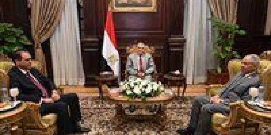 رئيس الشيوخ يستقبل المستشار علاء الدين فؤاد ونائب رئيس محكمة النقض