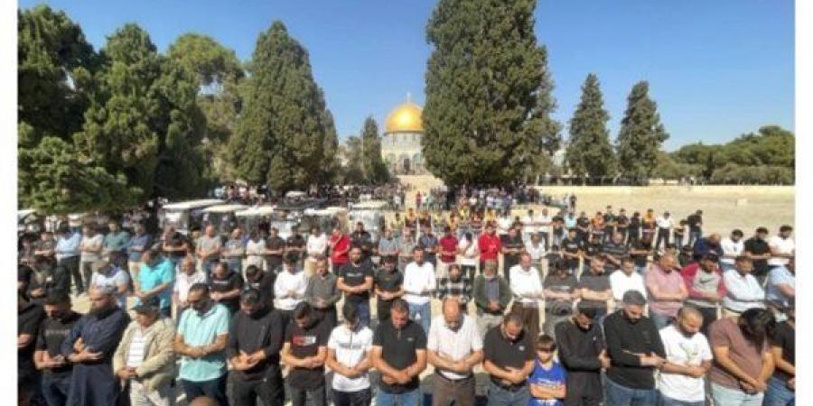 آلاف
      الفلسطينيين
      يؤدون
      صلاة
      الجمعة
      بالمسجد
      الأقصى