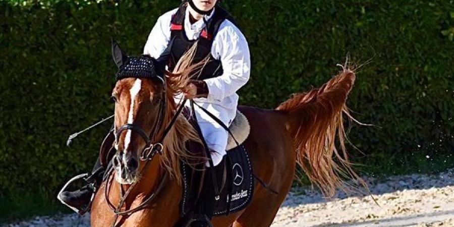 انطلاق
      المباريات
      الرسمية
      الأولى
      لبطولة
      الجمهورية
      للفروسية
      لقفز
      الحواجز
      بسموحة