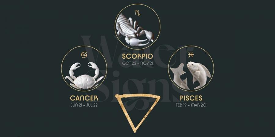 هالة
      حافظ
      تكشف
      لـ"الوفد
      الأبراج
      الأكثر
      حظًا
      في
      الحب
      والزواج
      خلال
      2026