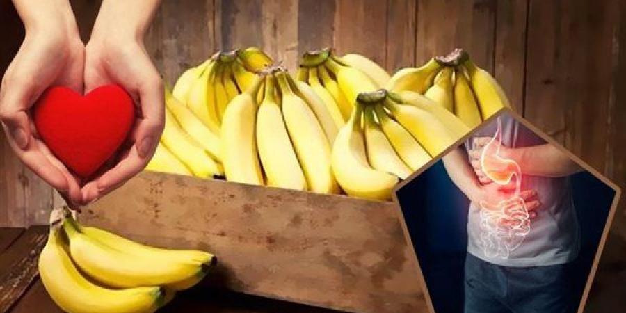 الموز..
      الطاقة
      الطبيعية
      لجسم
      صحي
      وهضم
      مثالي