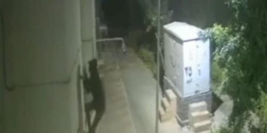 بعد
      فضحه
      بالفيديو..
      القبض
      على
      سبايدر
      مان
      الشروق