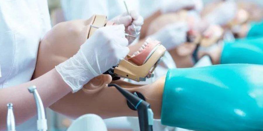 نقيب
      أطباء
      الأسنان
      يدق
      ناقوس
      الخطر:
      "الخريجون
      مش
      لاقيين
      شغل"