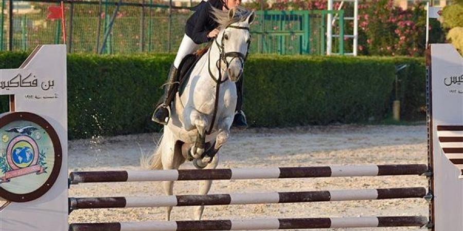 ختام
      منافسات
      الحلقة
      الثالثة
      لبطولة
      الجمهورية
      للفروسية
      لقفز
      الحواجز
      بالإسكندرية