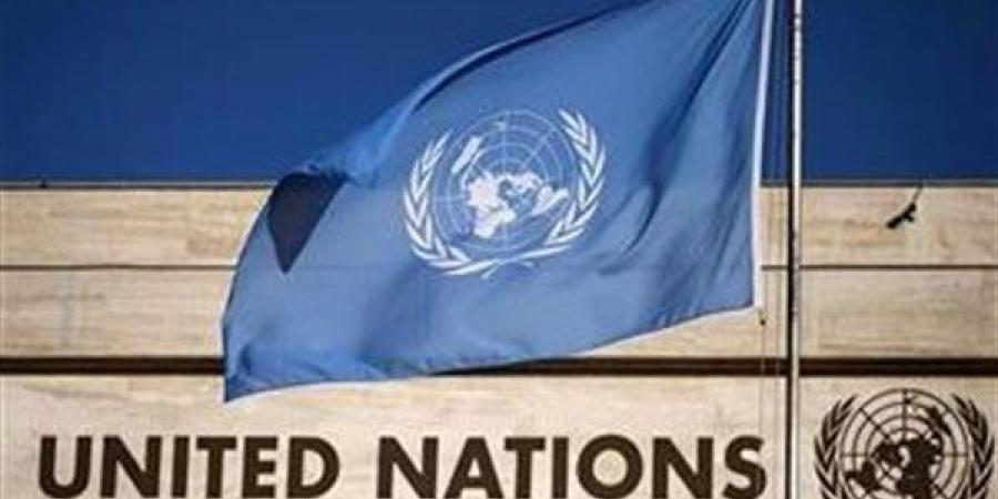 الأمم
      المتحدة
      تطالب
      الحوثيين
      بإطلاق
      سراح
      الموظفين
      الأمميين
      فورا