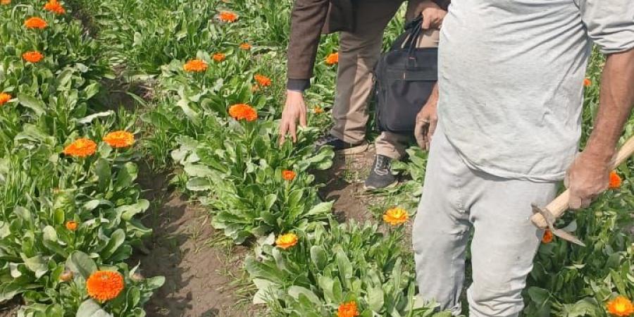 محافظ
      الفيوم:
      نهو
      969
      مشروعاً
      ضمن
      المرحلة
      الأولى
      من
      المبادرة
      الرئاسية
      "حياة
      كريمة"
      بمركزي
      إطسا
      ويوسف
      الصديق