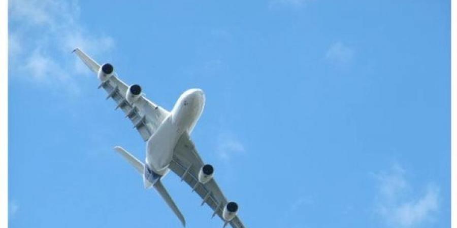 تركيا:
      الصندوق
      الأسود
      لطائرة
      رئيس
      الأركان
      الليبي
      سيفحص
      في
      دولة
      محايدة