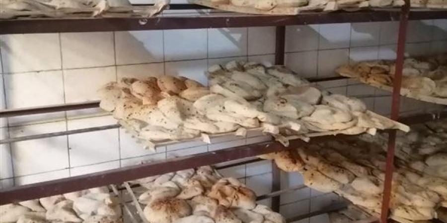 ضبط
      26
      مخالفة
      في
      حملات
      تموينية
      على
      المخابز
      بالفيوم