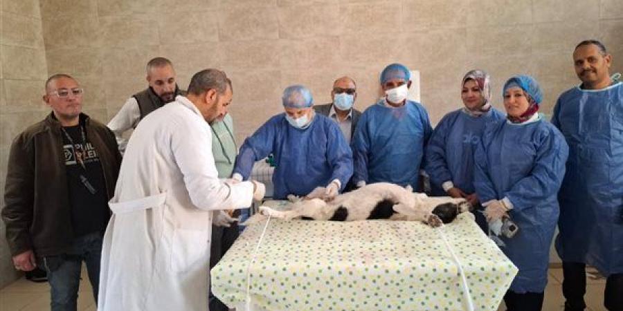 جامعة
      الإسكندرية
      تبدأ
      المرحلة
      الثانية
      من
      مبادرة
      «نحو
      بيئة
      آمنة»
      لتعزيز
      التوازن
      البيئي
      وحماية
      الإنسان