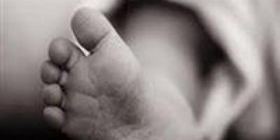 تكثيف
      أمني
      لكشف
      لغز
      العثور
      على
      جثمان
      طفلة
      داخل
      رشاح
      بمنشأة
      القناطر