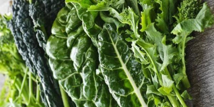 كيف
      تساعد
      الخضراوات
      الورقية
      على
      تقلل
      التوتر
      العصبي؟