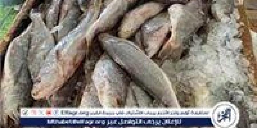 أسواق
      الأسماك
      بمحافظة
      أسوان،
      اليوم
      الجمعة
      26
      ديسمبر
      2025