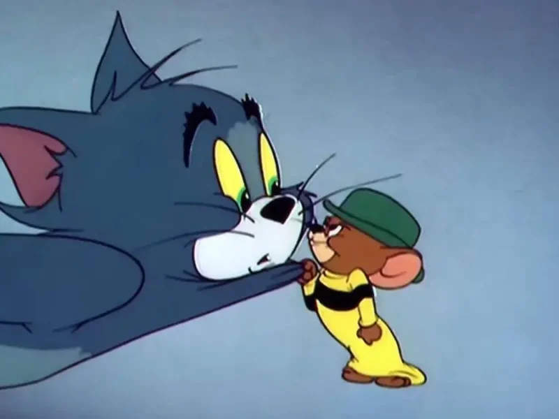 أسرع طريقة لتشغيل تردد قناة توم وجيري 2026 بأفضل جودة بدون مشاكل علي نايل وعرب سات