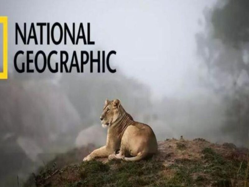 تردد قناة ناشيونال جيوجرافيك أبوظبي 2026 علي القمر الصناعي نايل سات